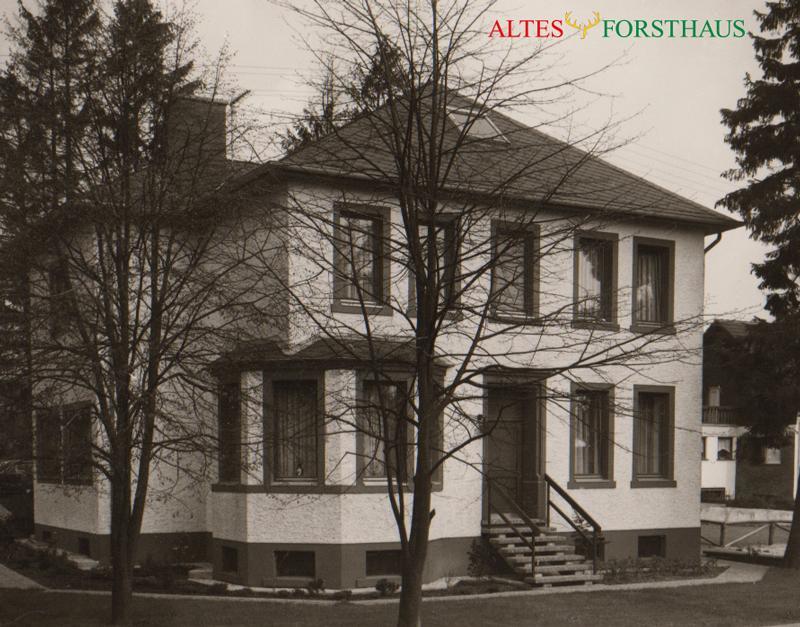 Altes Forsthaus Bed & Breakfast Manderscheid Dış mekan fotoğraf